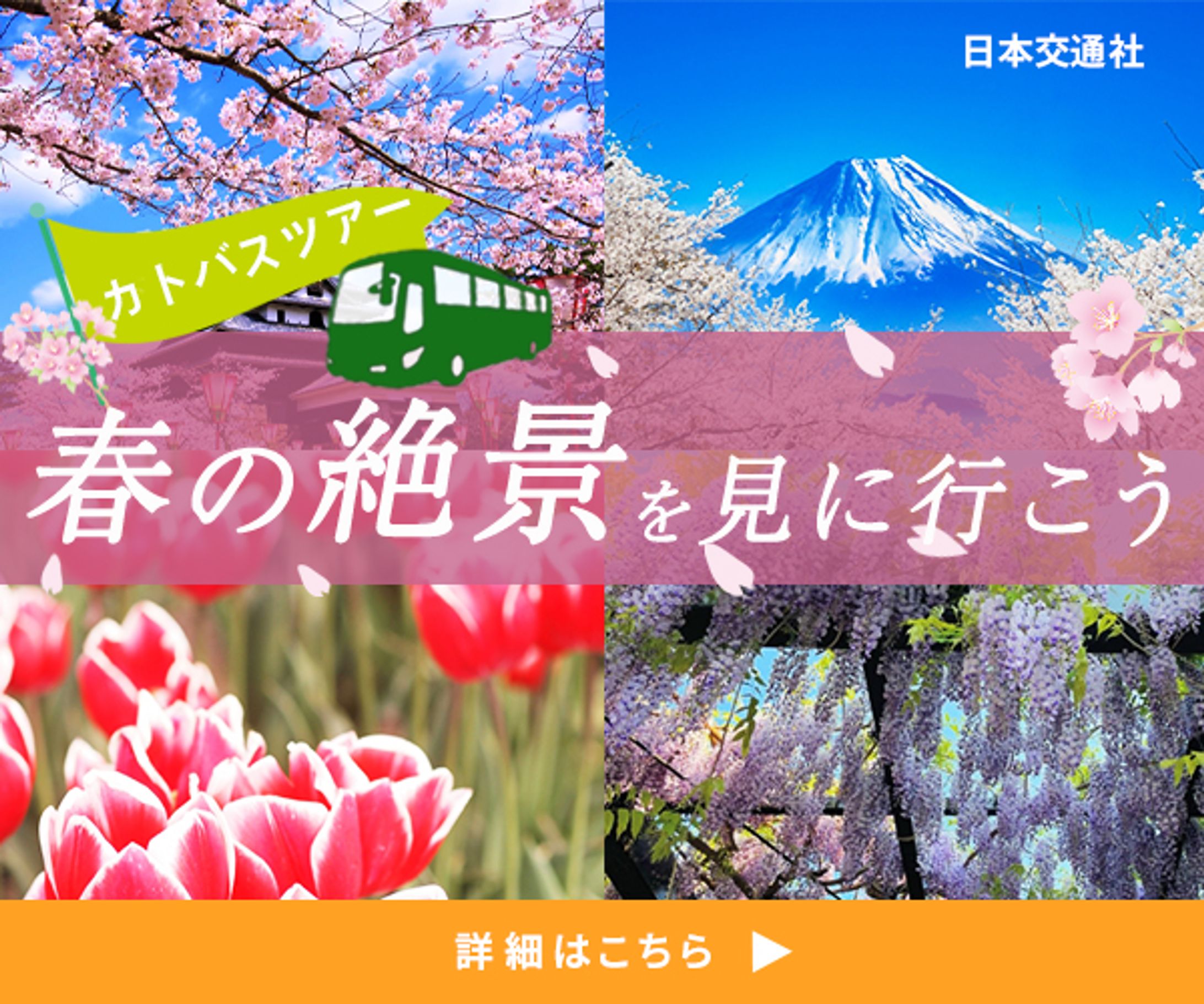 バナー：春のバスツアーバナー-1