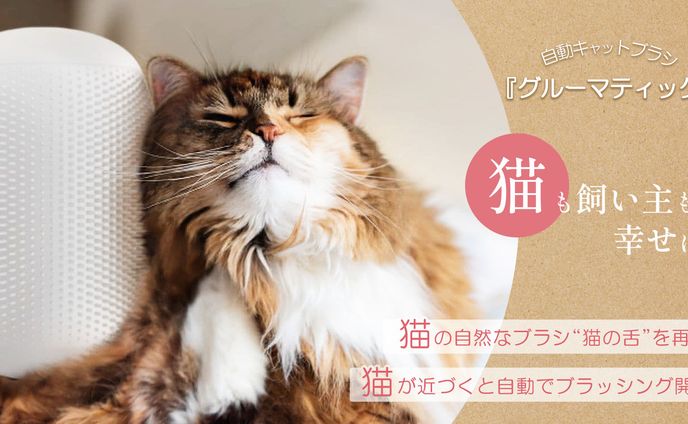 猫グッズ