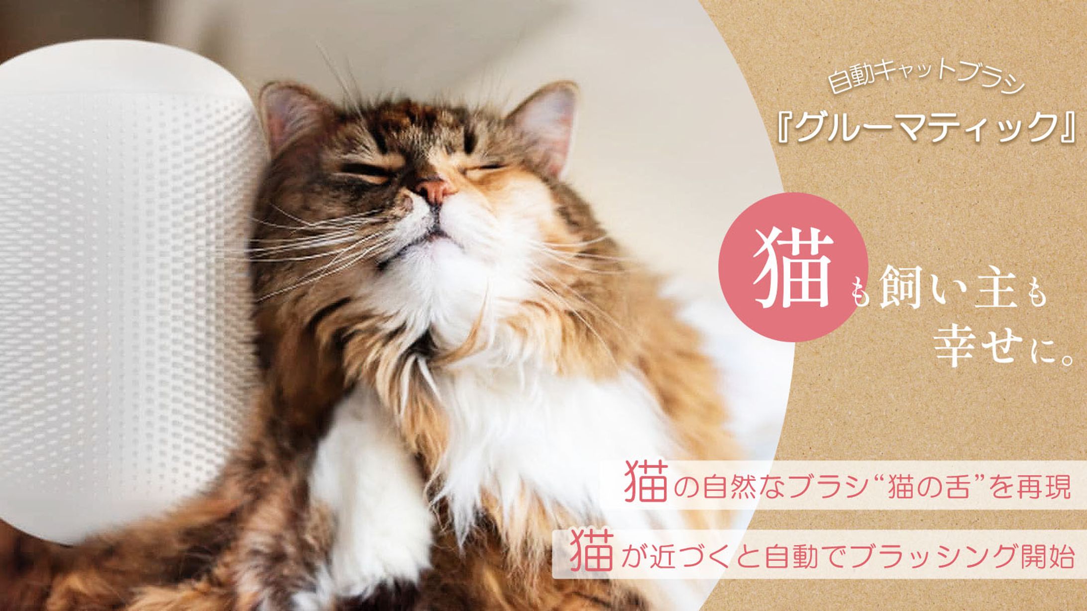 猫グッズ-1