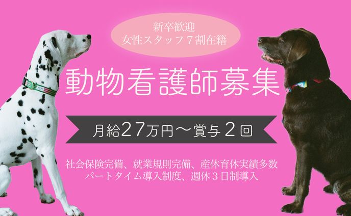動物病院求人