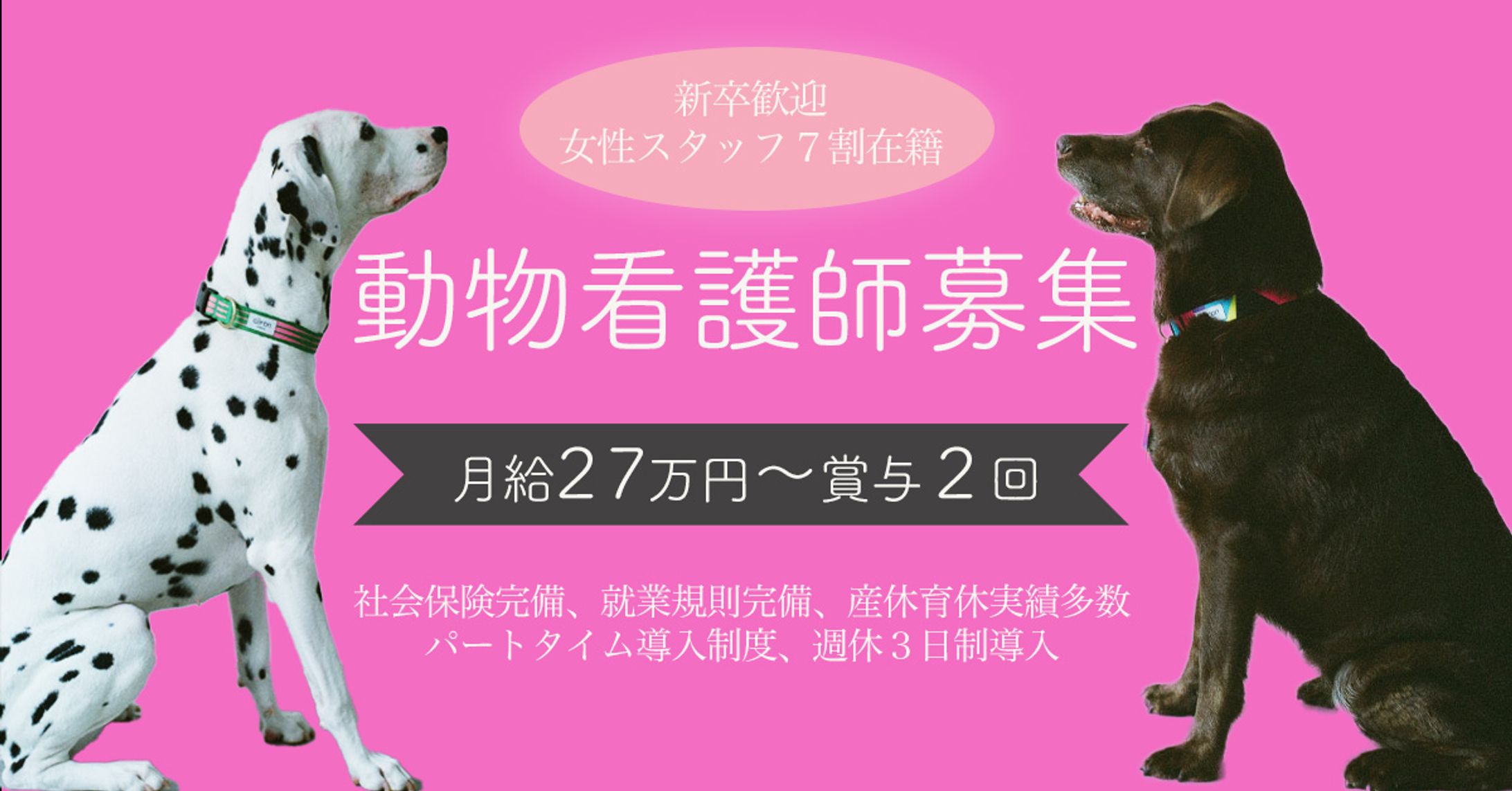 動物病院求人-1