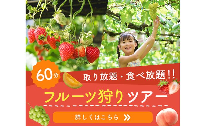 【バナー】フルーツ狩り