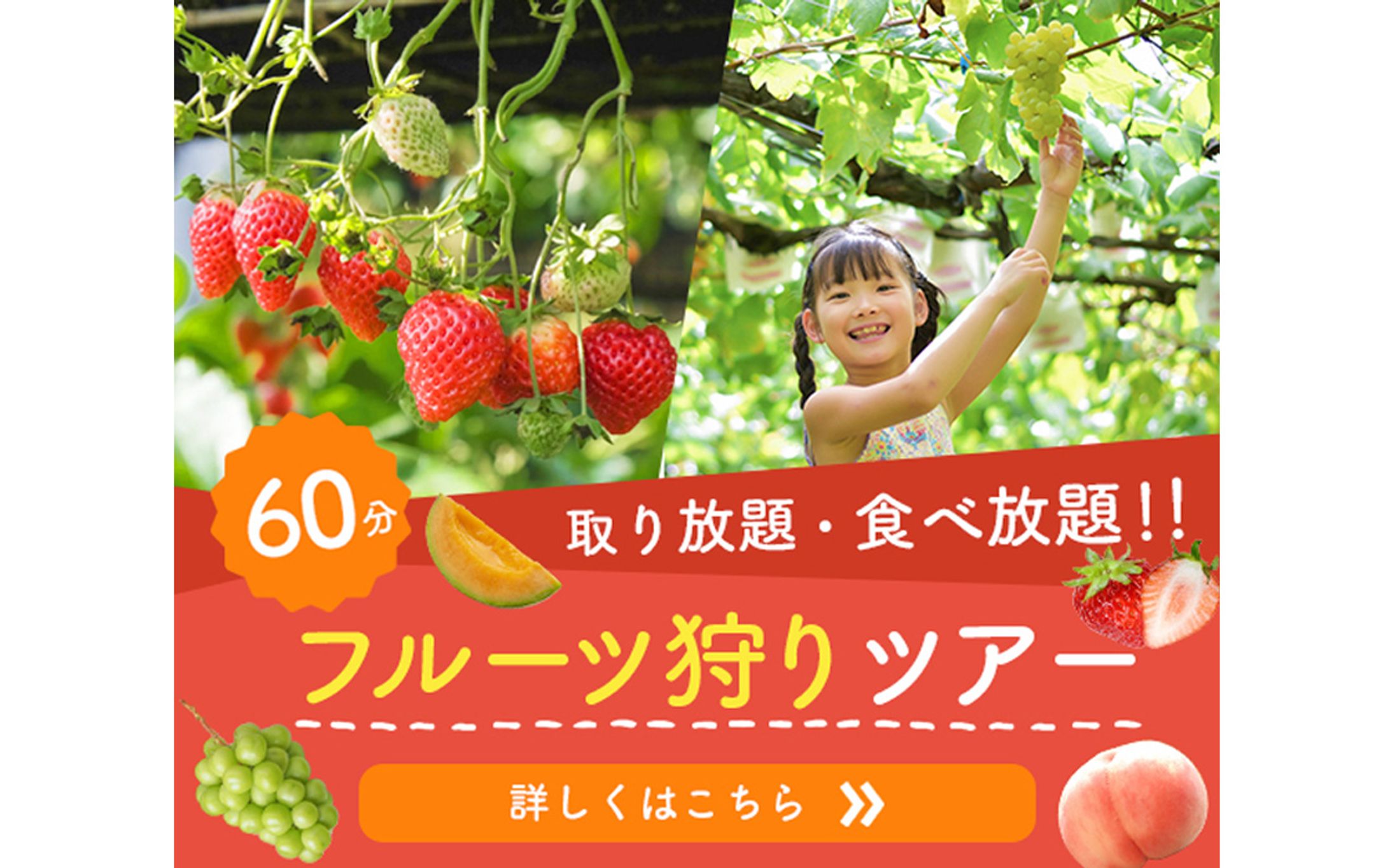 【バナー】フルーツ狩り-1