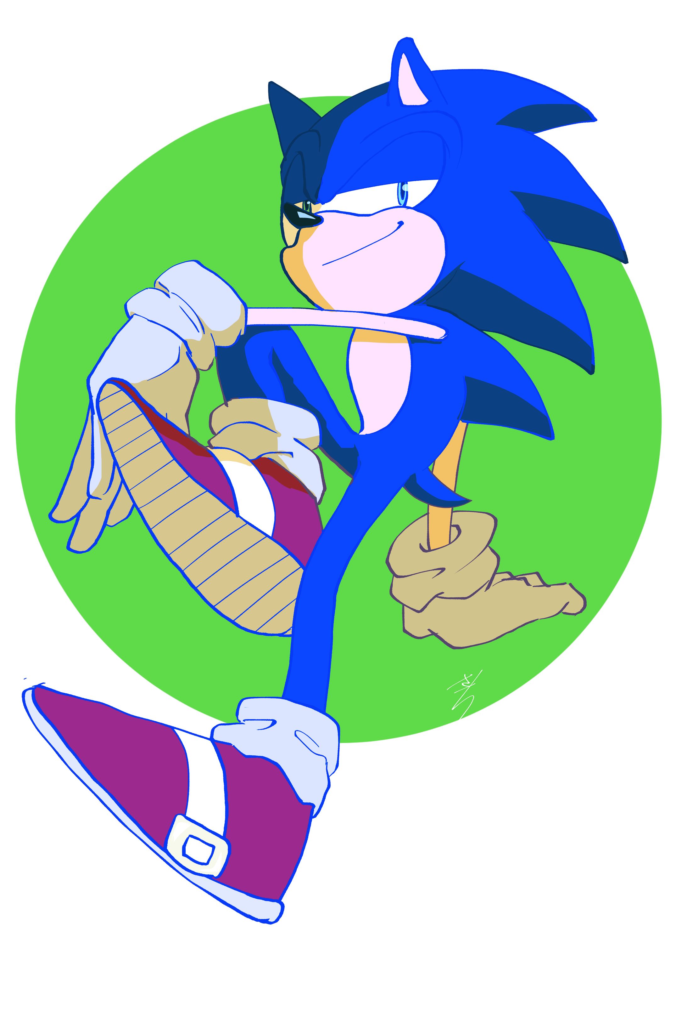 Sonic the hedgehog -1