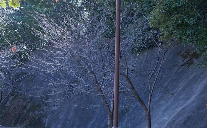 モデル:Saya
西新　公園

天気が良かったのでブラリと公園での撮影
2月だったけれど、だいぶ春らしい季節になってきました。

レンズ: Sonnar T* FE 55mm F1.8 ZA
ISO:4000
F値:7.1
シャッタースピード:1/1250

#カメラ
#α7Ⅲ
#SONY
#福岡
#ポートレート
#福岡ポートレート
#撮影
#モデル撮影
#モデル募集
#作品撮り
#写真好きな人と繋がりたい