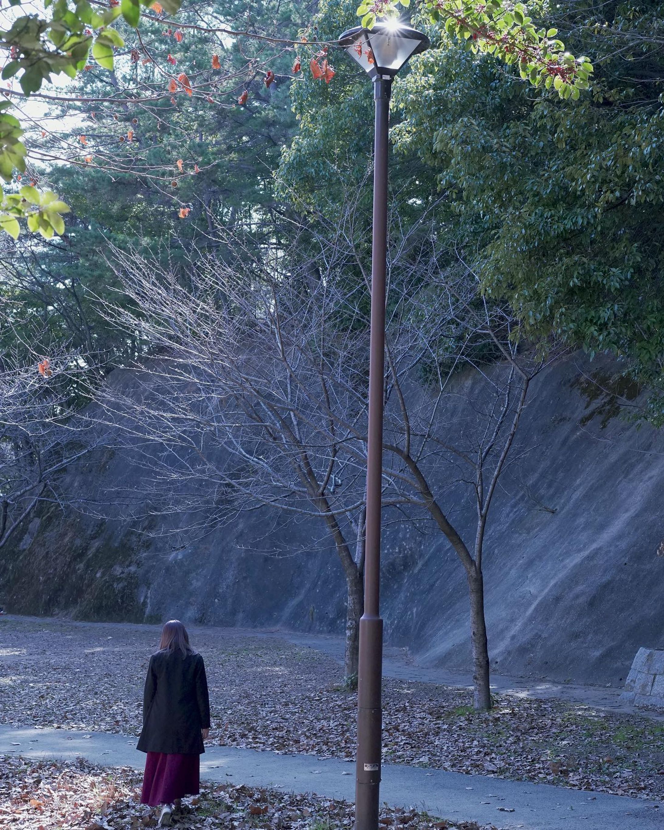 モデル:Saya
西新　公園

天気が良かったのでブラリと公園での撮影
2月だったけれど、だいぶ春らしい季節になってきました。

レンズ: Sonnar T* FE 55mm F1.8 ZA
ISO:4000
F値:7.1
シャッタースピード:1/1250

#カメラ
#α7Ⅲ
#SONY
#福岡
#ポートレート
#福岡ポートレート
#撮影
#モデル撮影
#モデル募集
#作品撮り
#写真好きな人と繋がりたい-1
