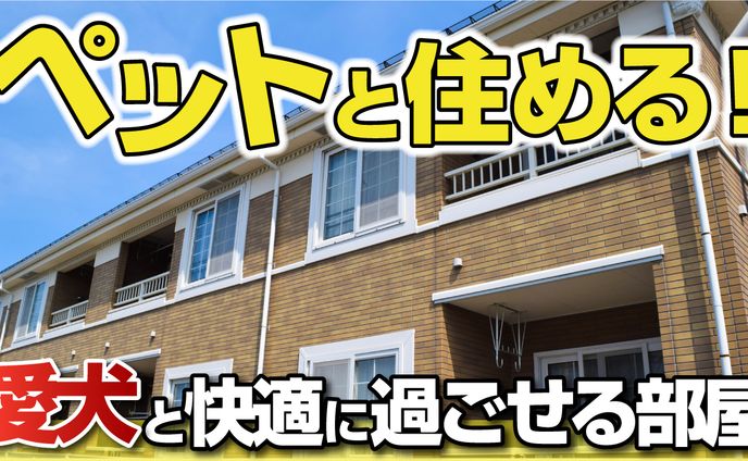 クリエイター、筋肉