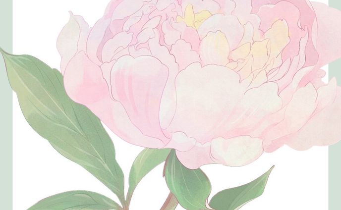#芍薬 #花 #花のイラスト #芍薬大好き #デジタルイラスト #季節の花 #peony

実家からもらってきた芍薬
少し小ぶりですがとても良い香り✨
花弁の重なりも美しいですよね。