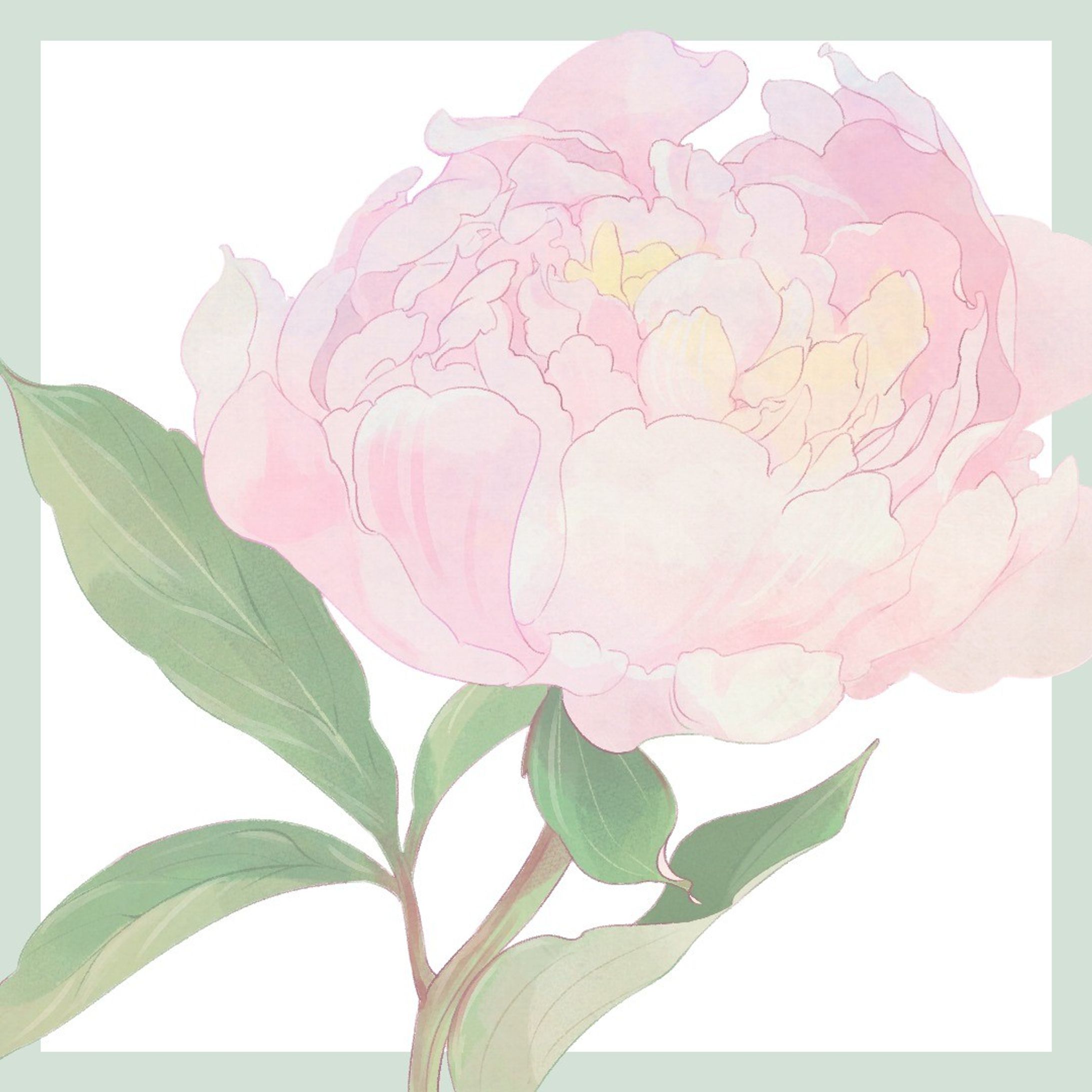 #芍薬 #花 #花のイラスト #芍薬大好き #デジタルイラスト #季節の花 #peony

実家からもらってきた芍薬
少し小ぶりですがとても良い香り✨
花弁の重なりも美しいですよね。-1