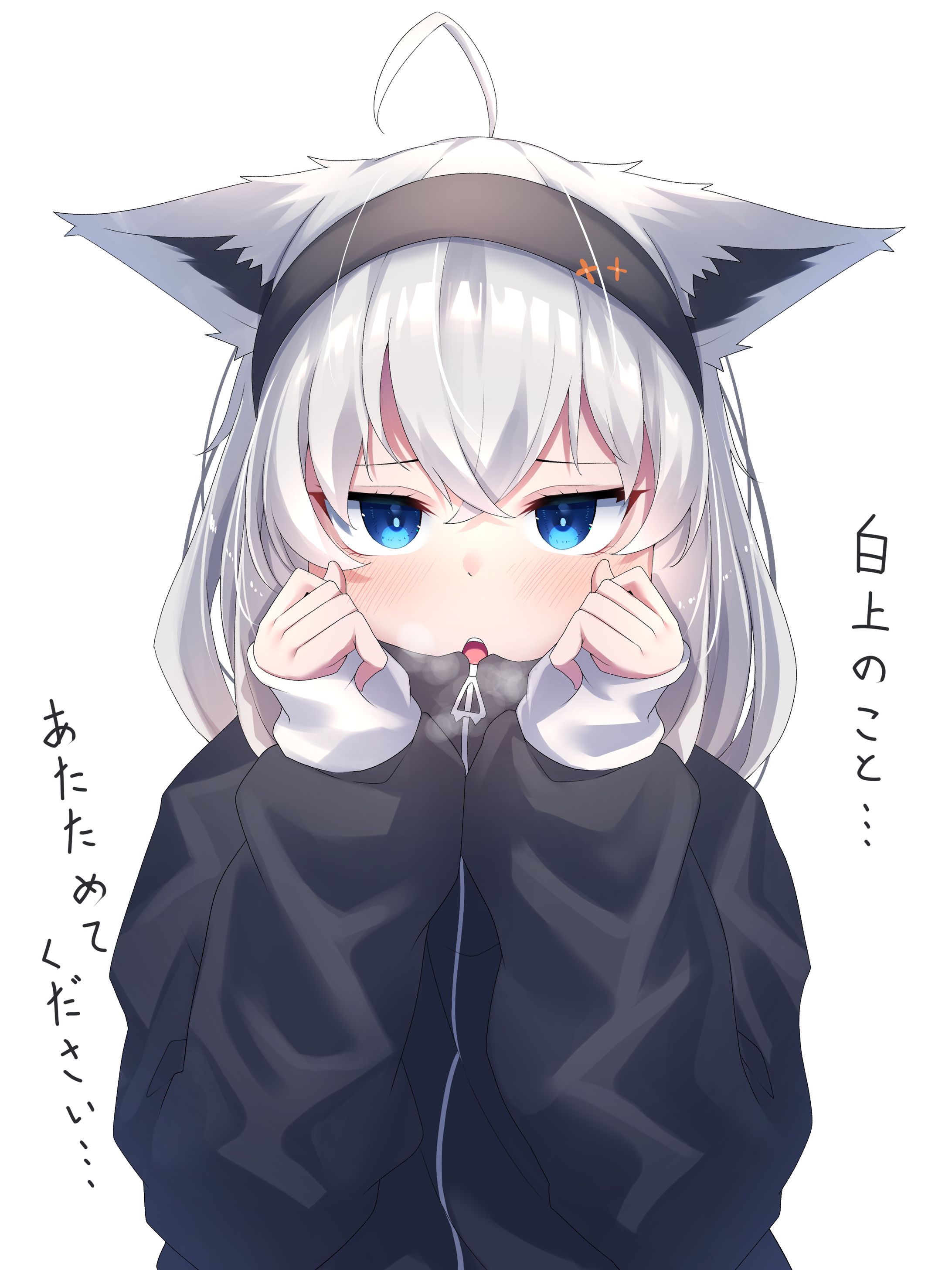 sirakamihubuki-1