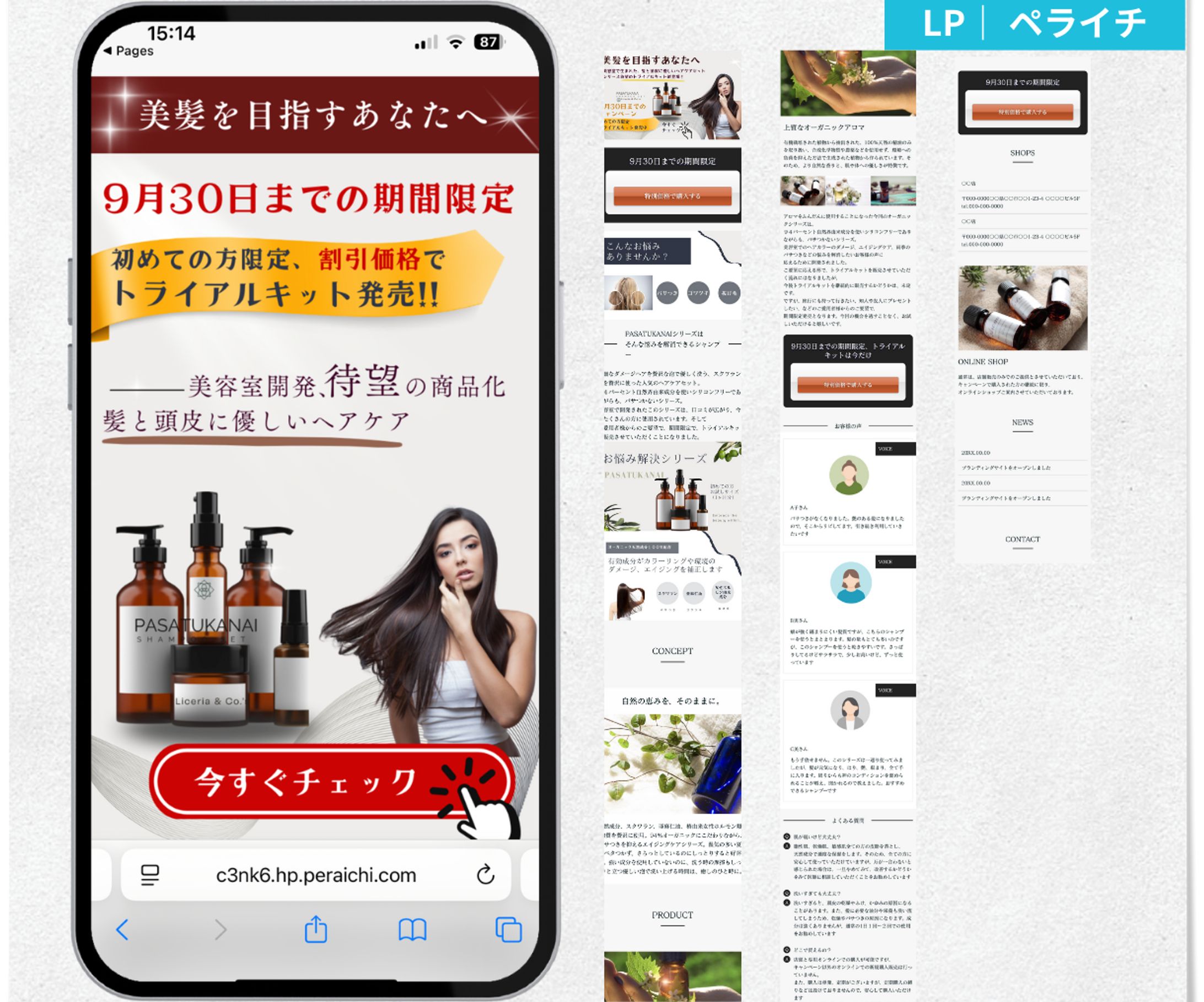 ペライチLP 美髪-1