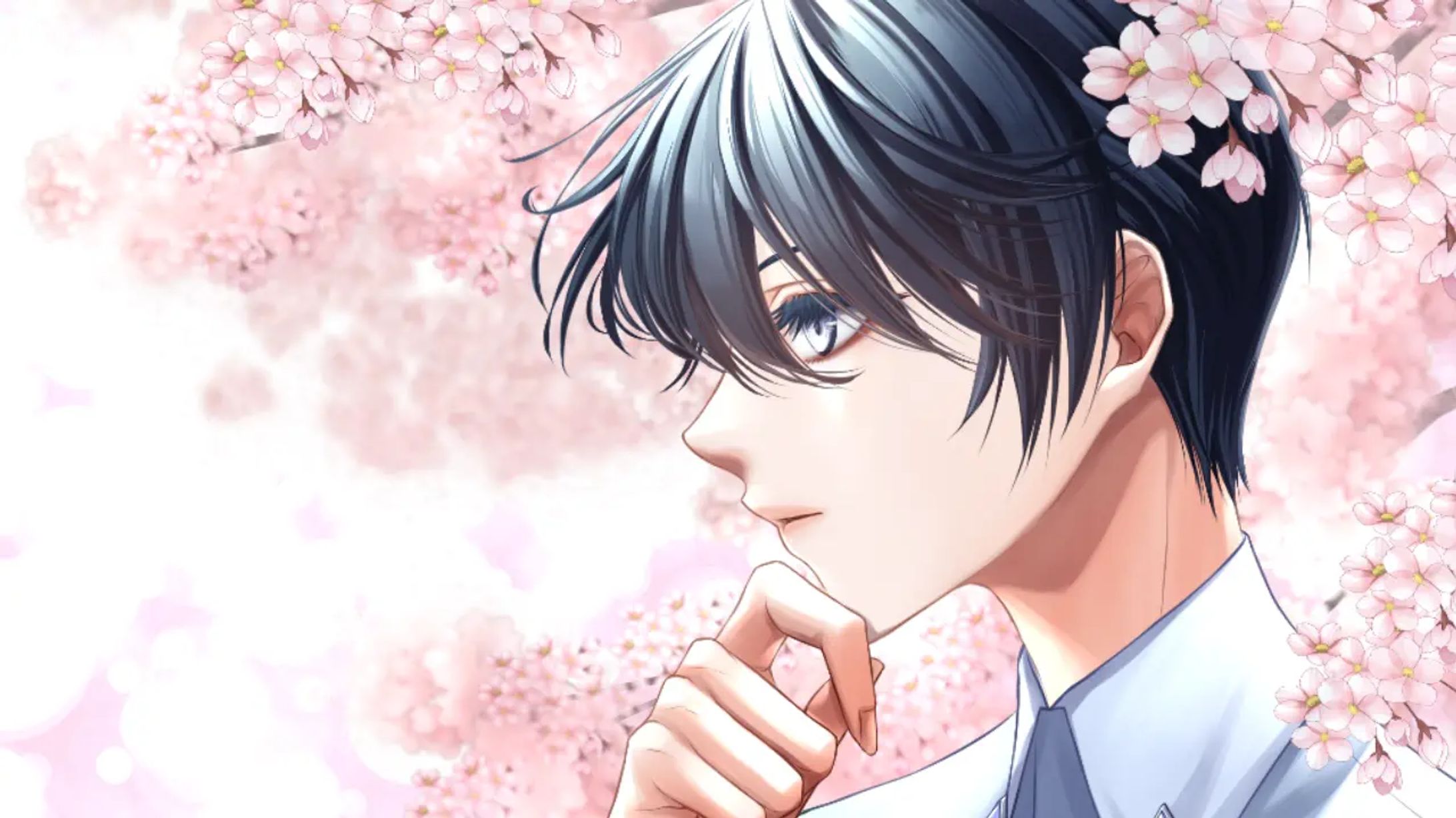 四季のヘッダーアニメーション　桜　-1