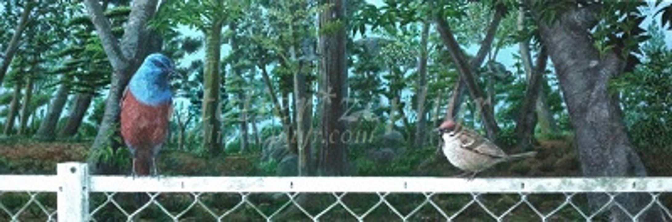 誰何（すいか）-1