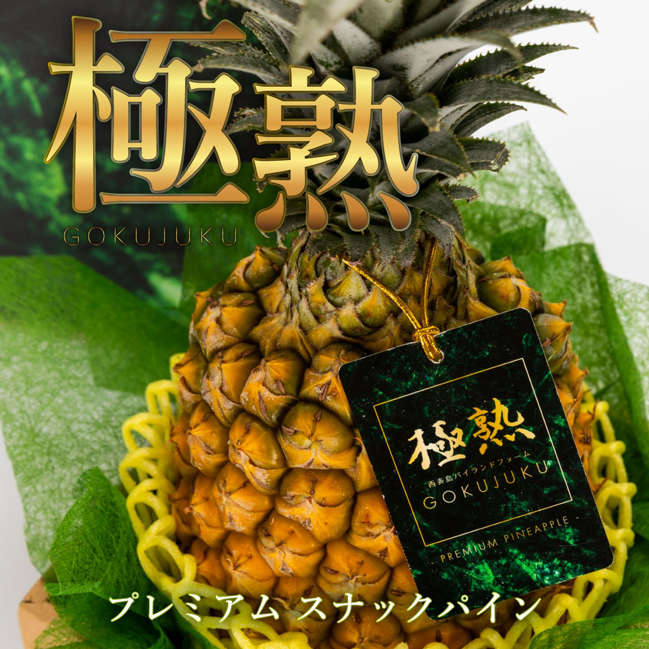 スナックパイン ランディングページ-1