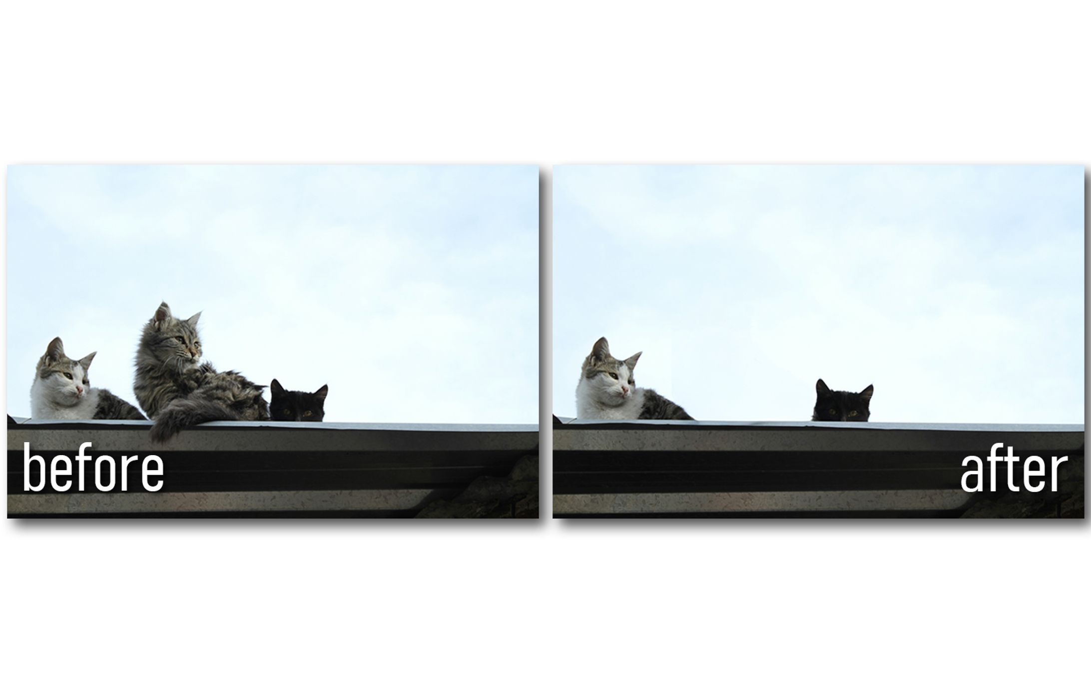 被写体を消したレタッチ-1