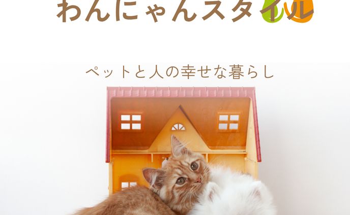 【自主制作】ペットリフォーム専用会社 広告バナー