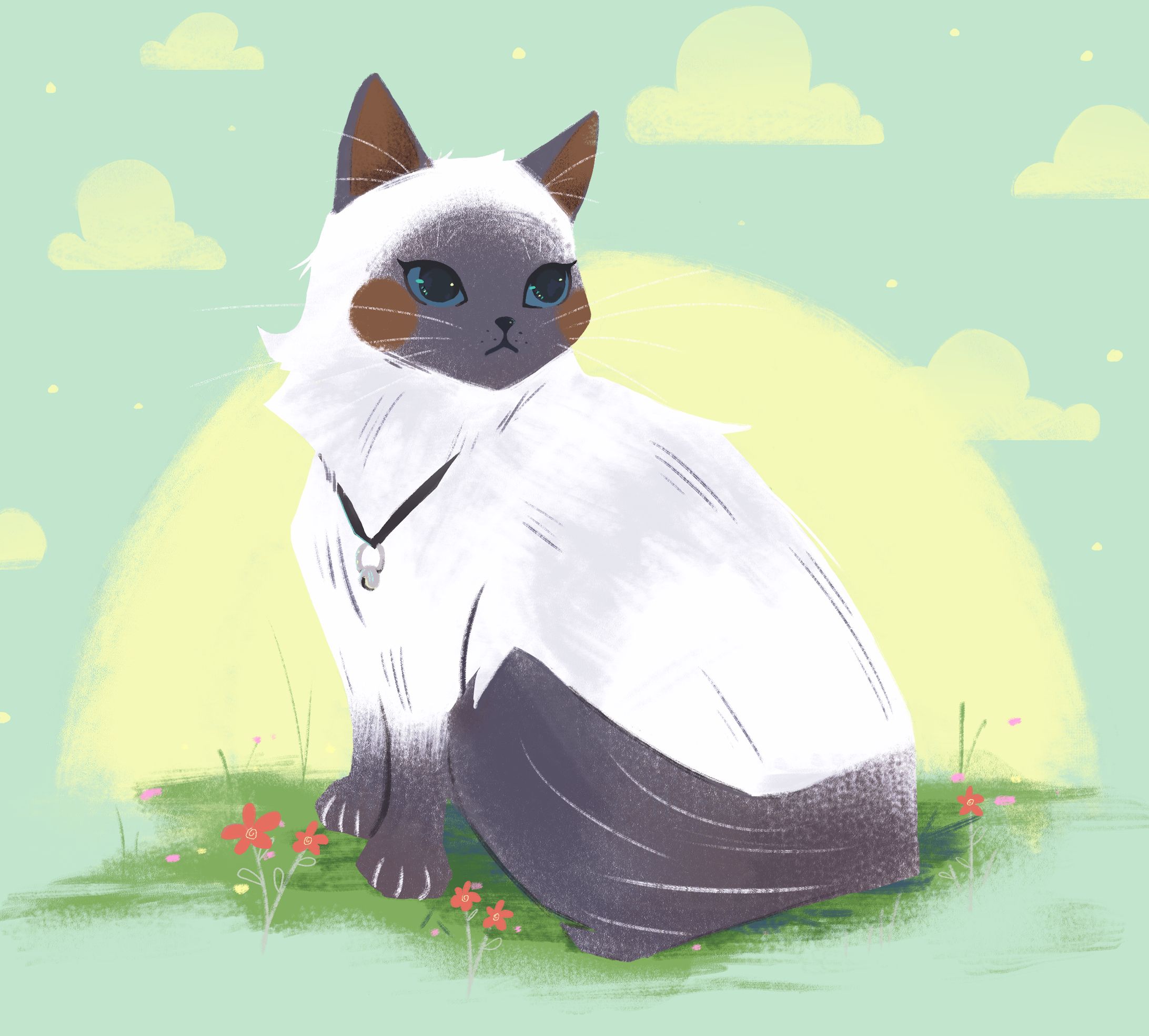 Siamese cat-1
