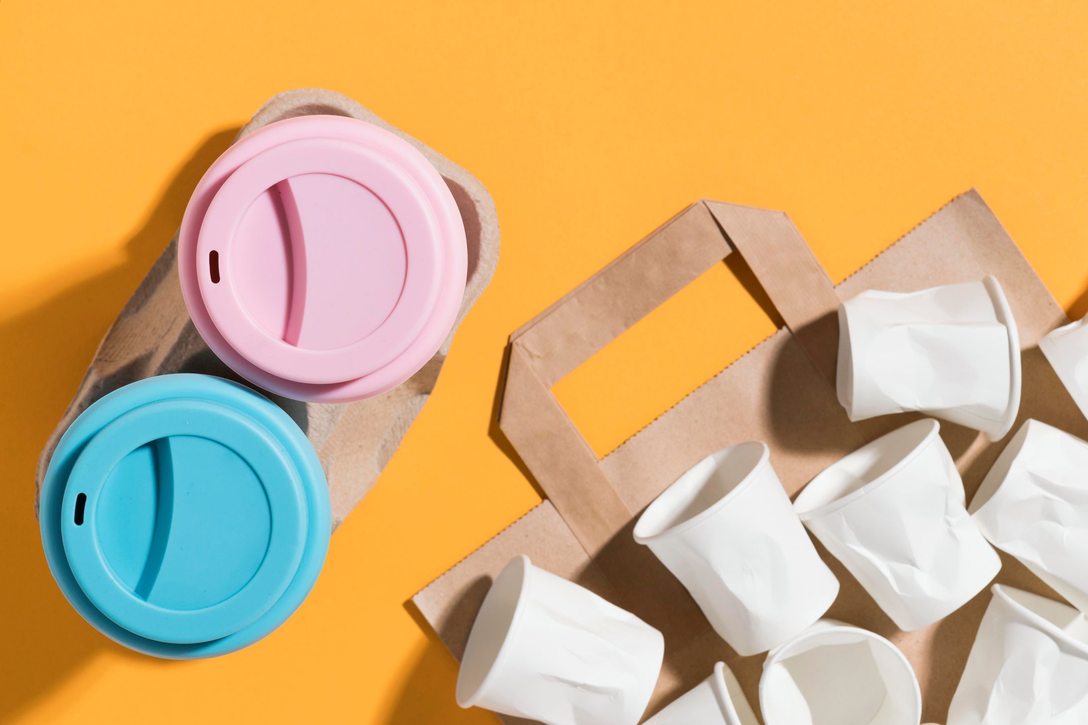 生分解性プラスチックとバイオプラスチックの比較 -1