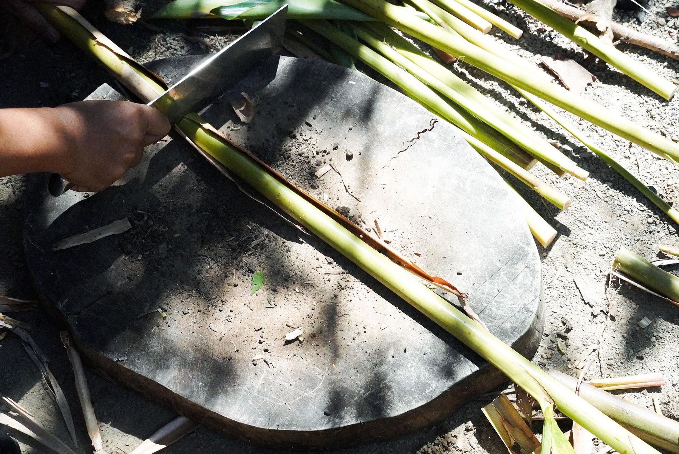 食的真本事：月桃料理20道-1