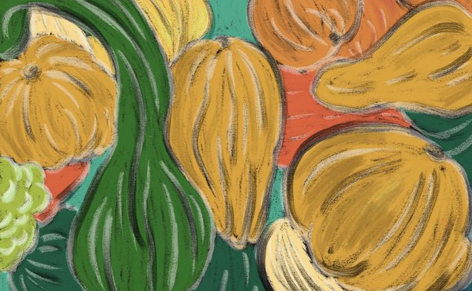 イラスト、冷凍かぼちゃ