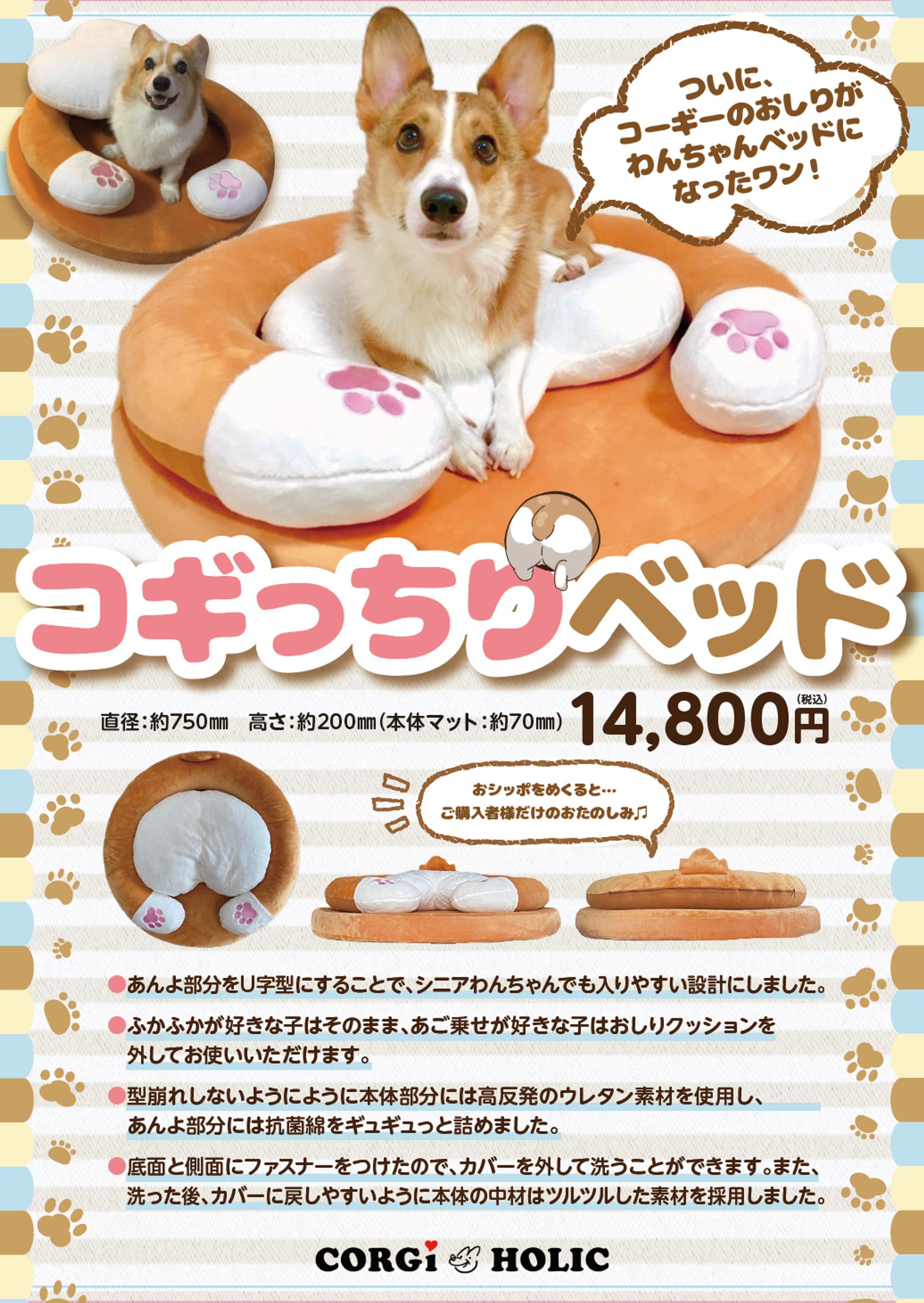 corgiholic様チラシ-1
