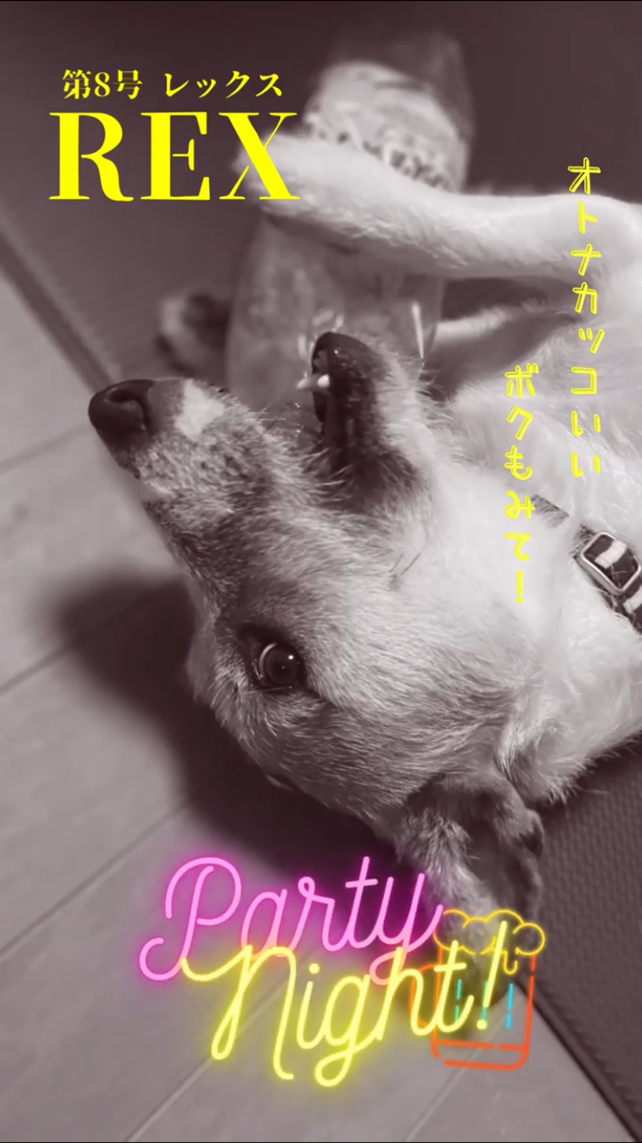 Canva/雑誌風デザイン（8）-1