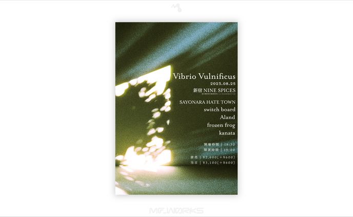 Vibrio Vulnificus | フライヤーデザイン