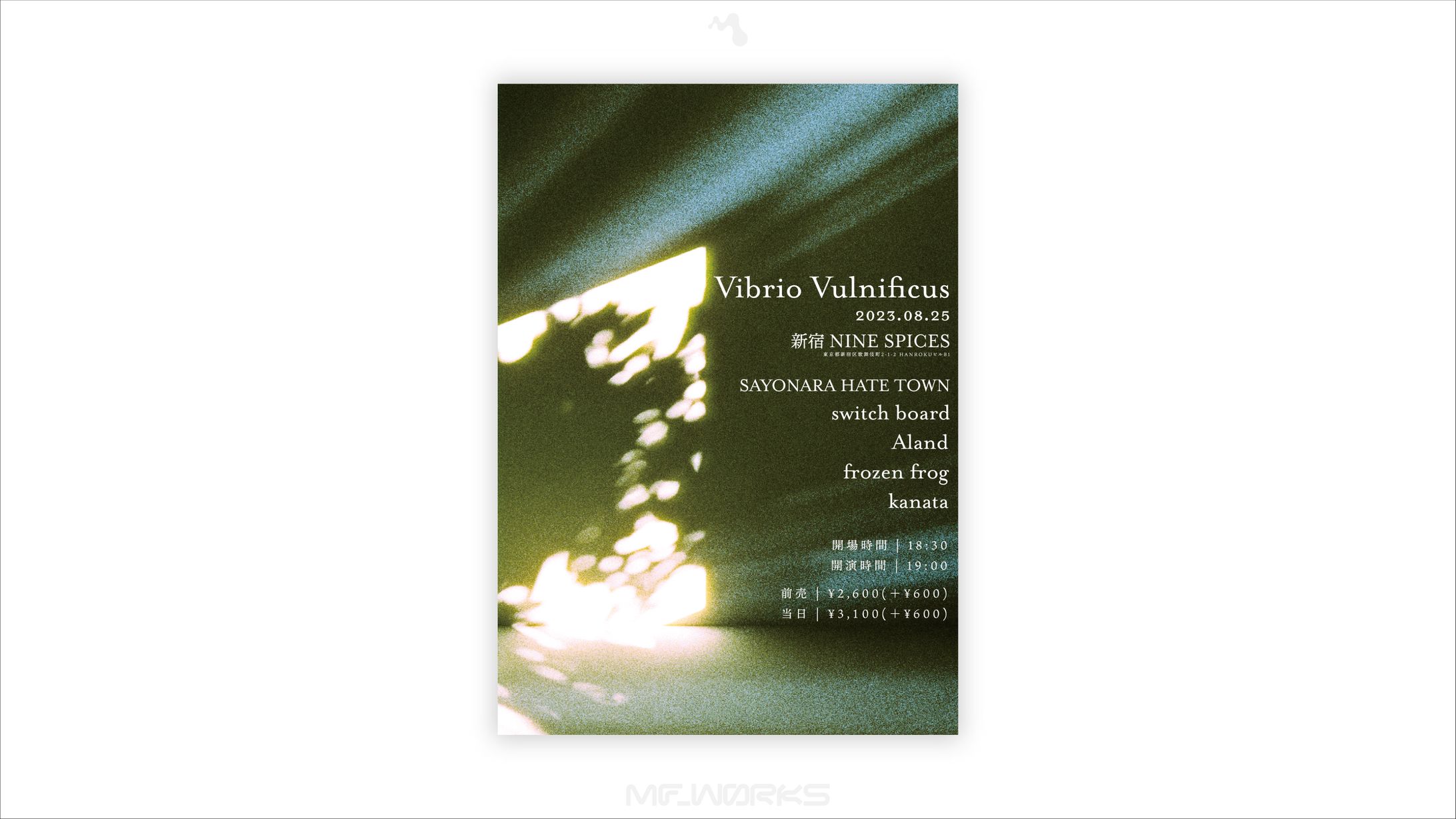 Vibrio Vulnificus | フライヤーデザイン-1