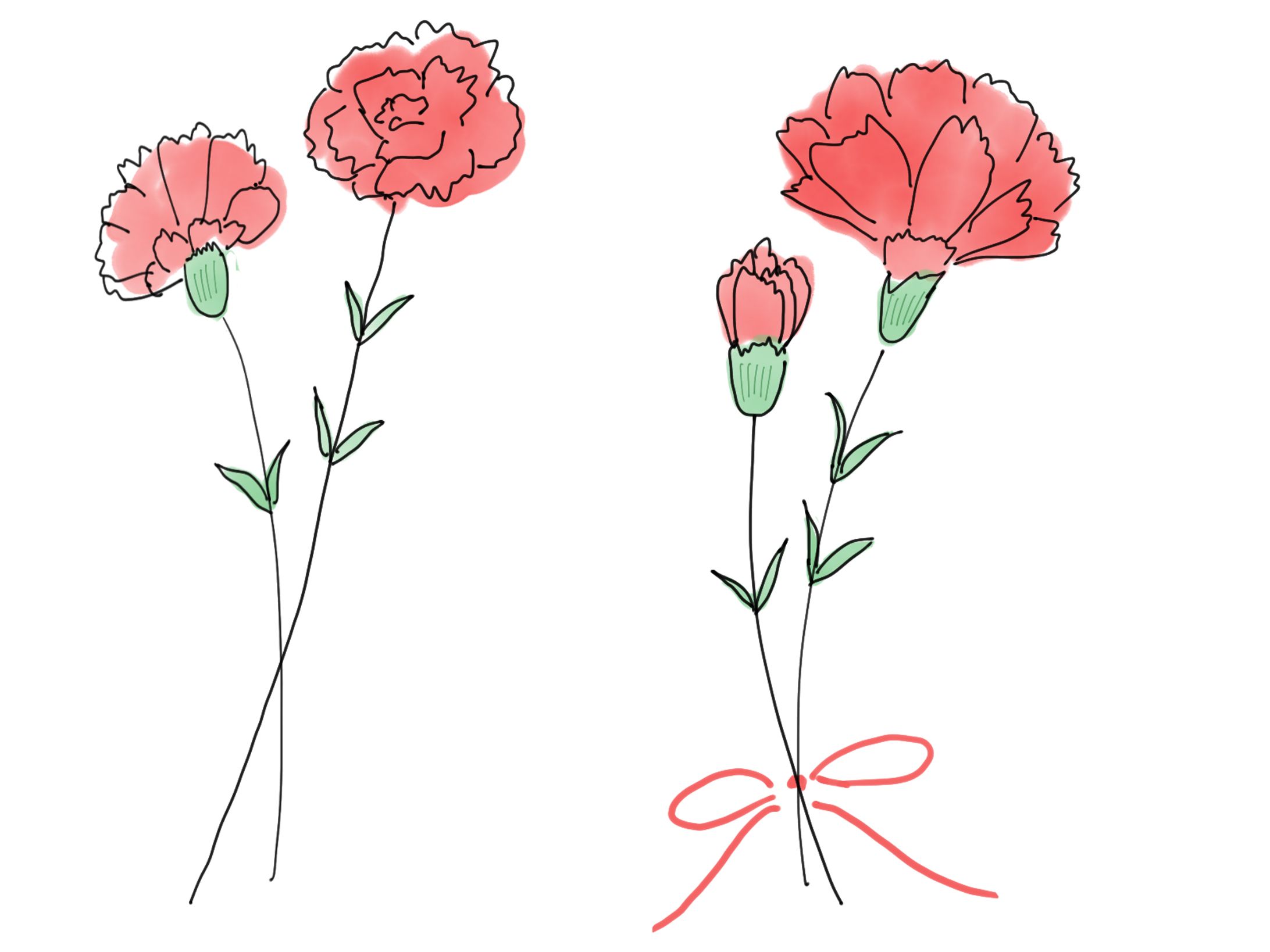 母の日カーネーション-1