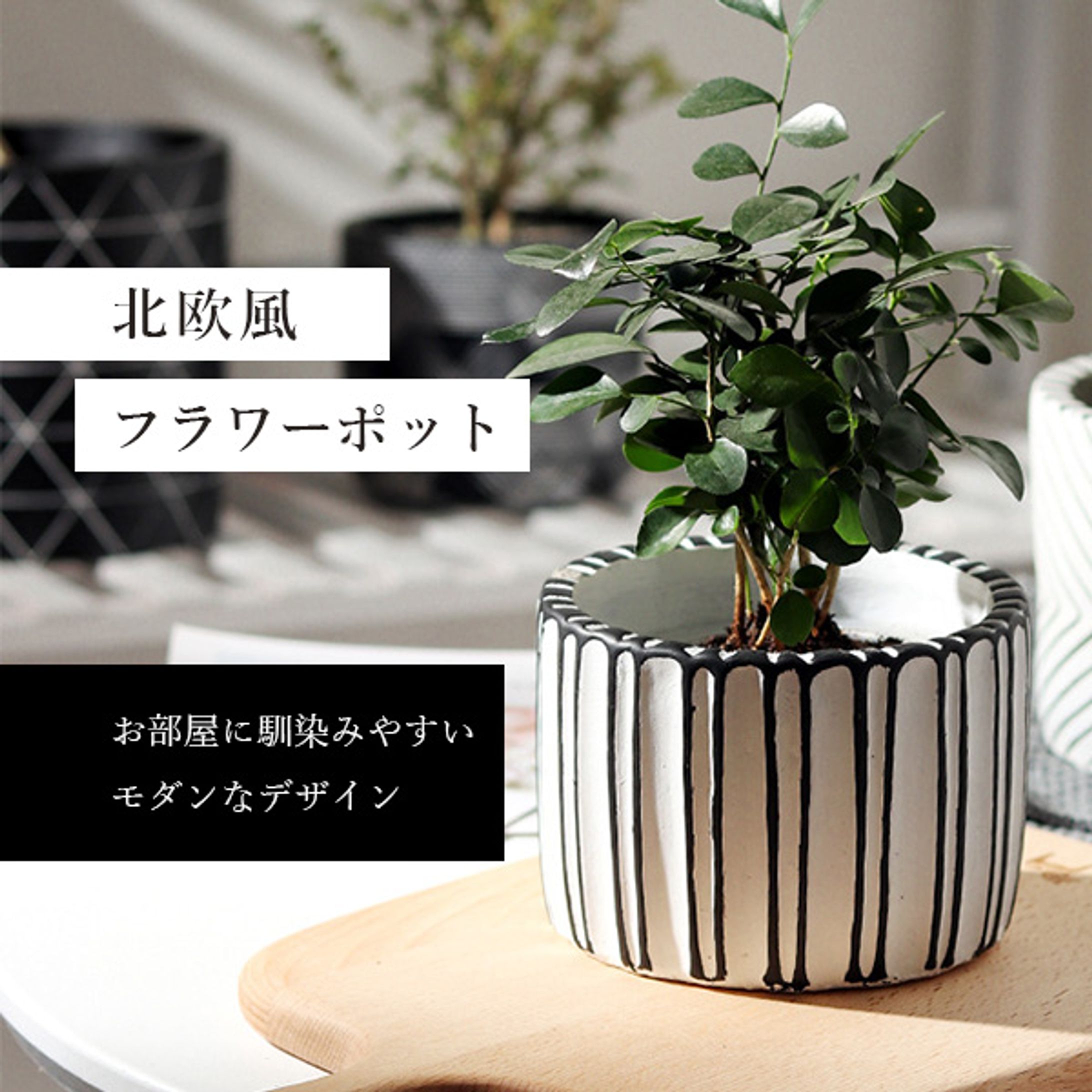 商品画像07-1