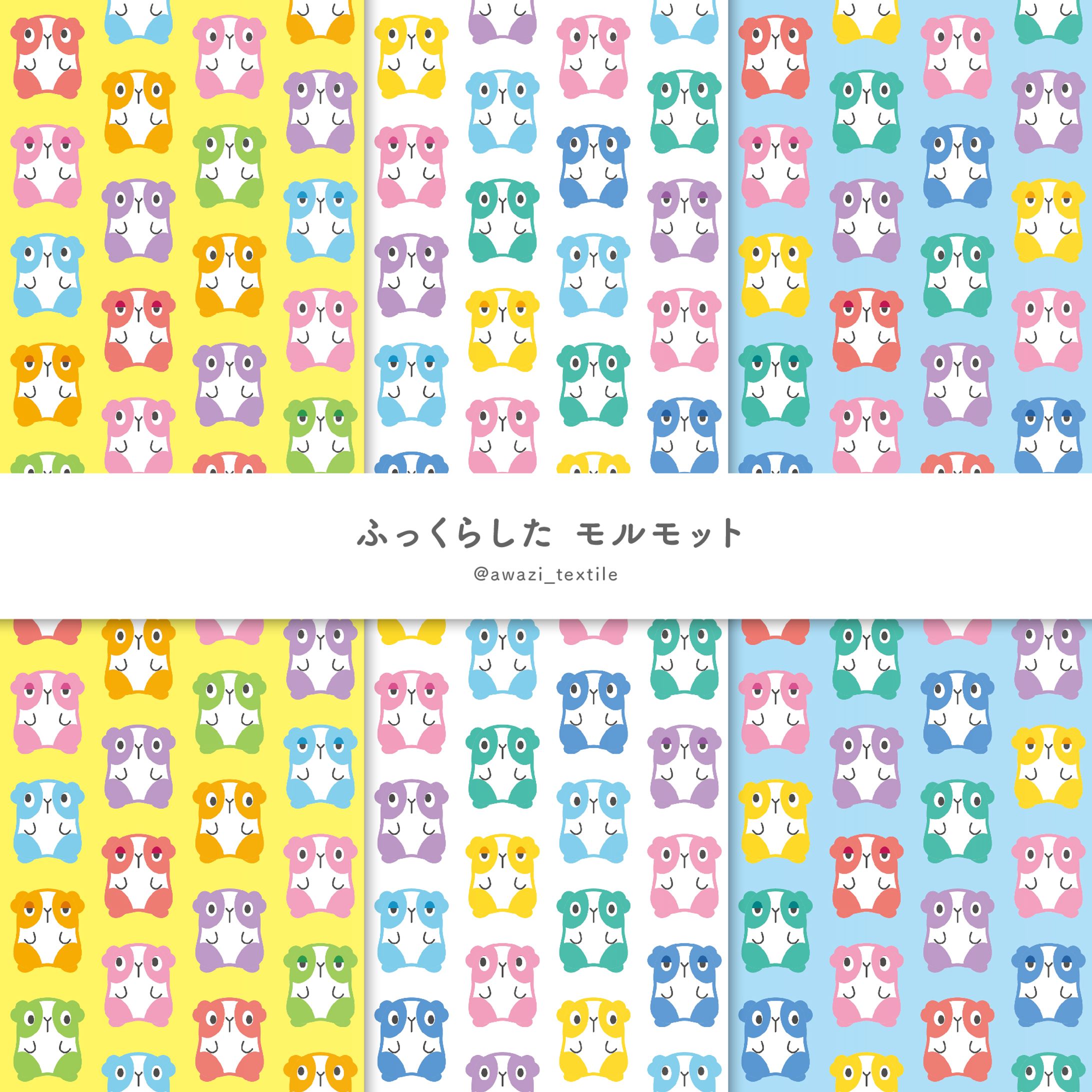 ふっくらした モルモット-1