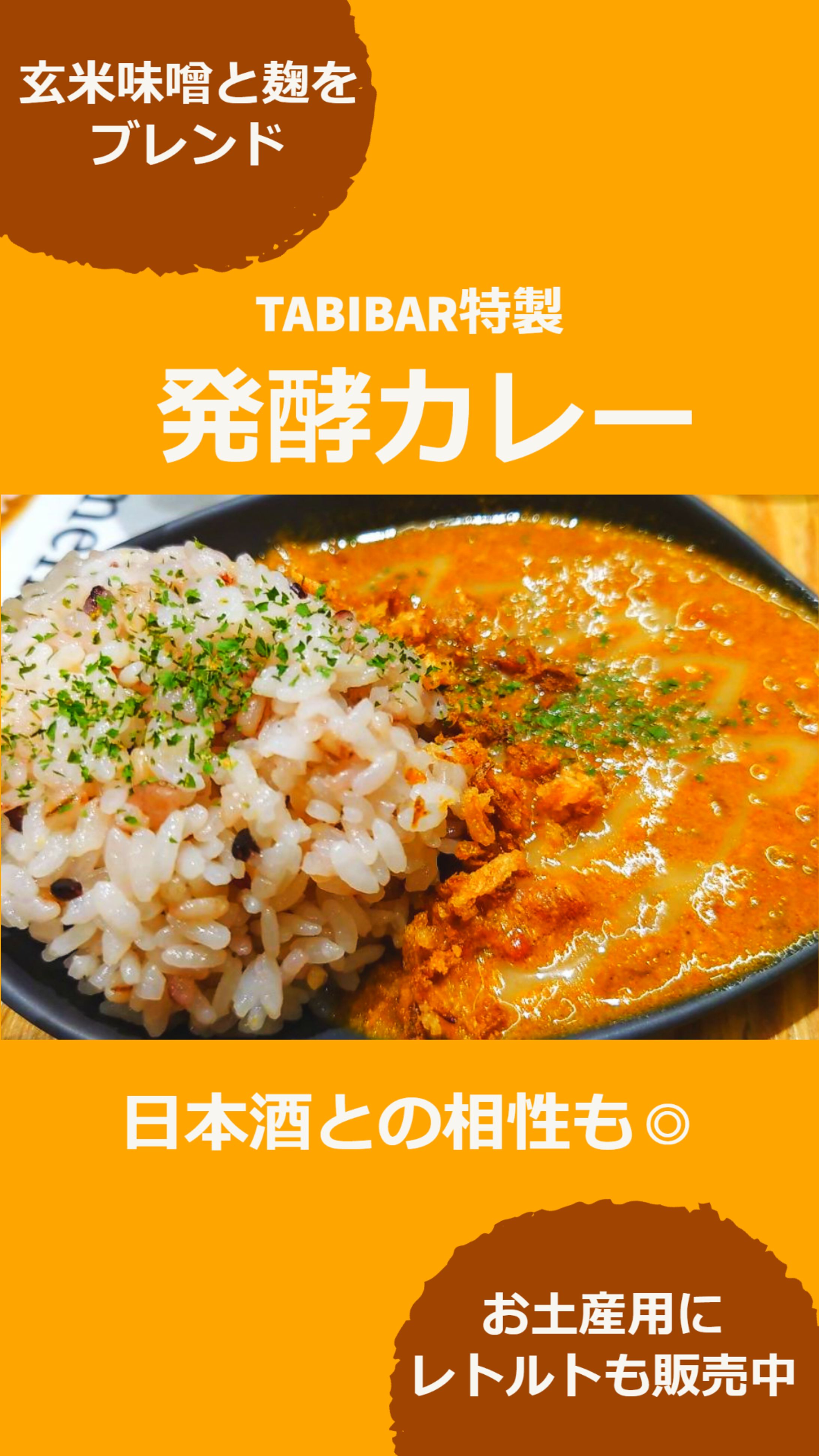 発酵カレー（チラシ）-1