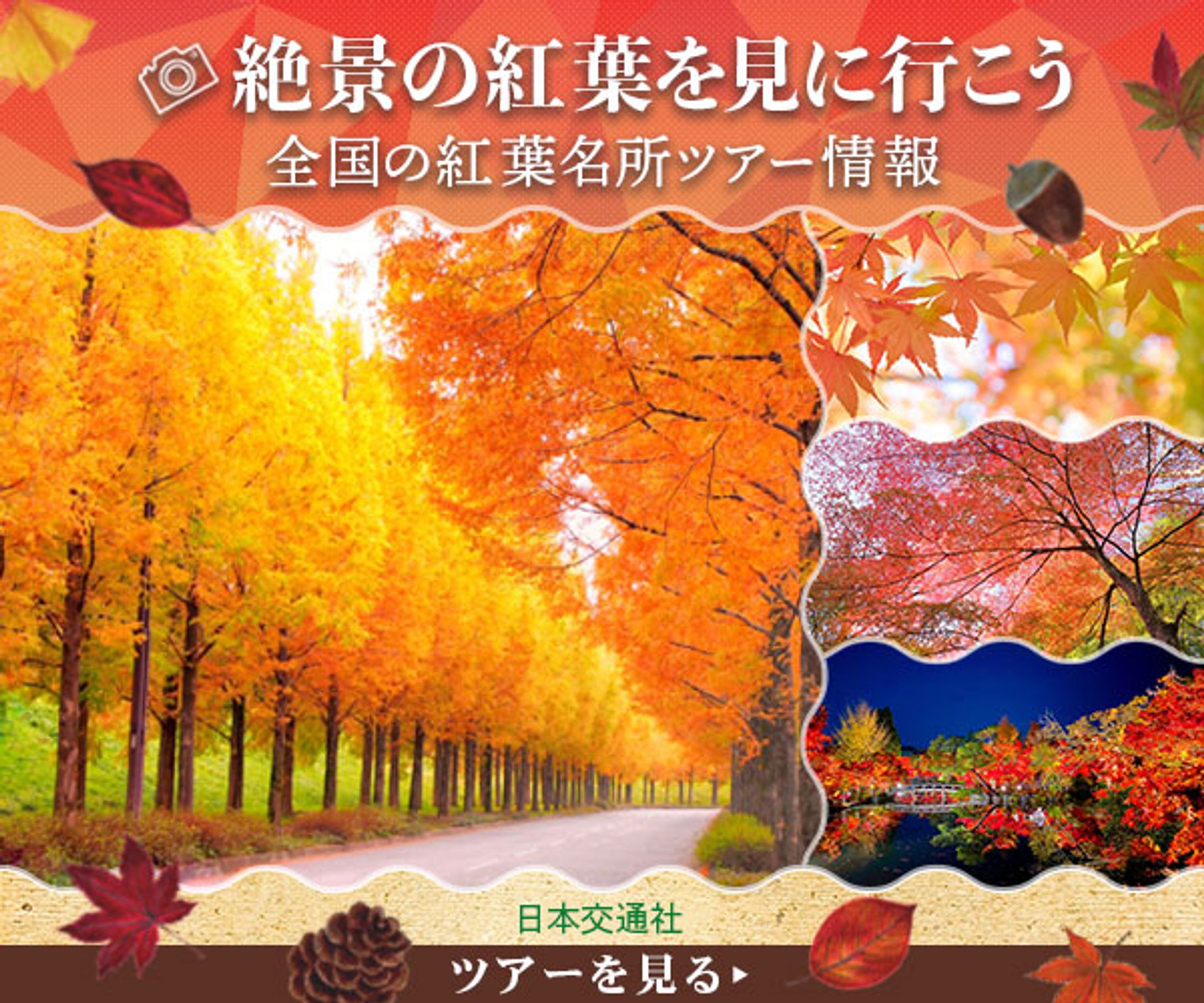 バナー：絶景の紅葉を見に行こう-1