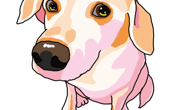 折れ耳わんこ