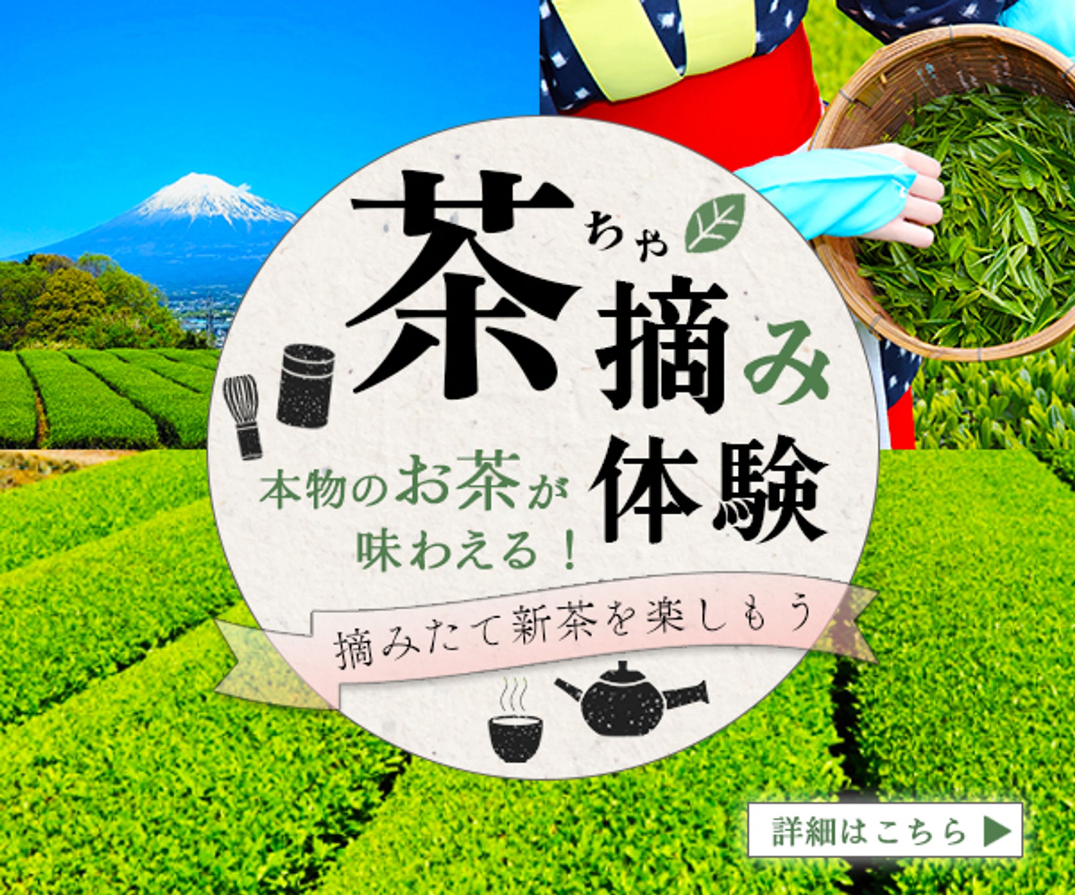 茶摘み体験-1