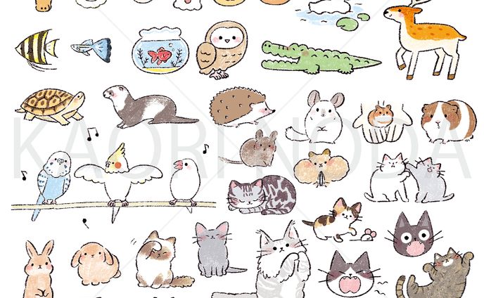 イラスト&文字ずかん