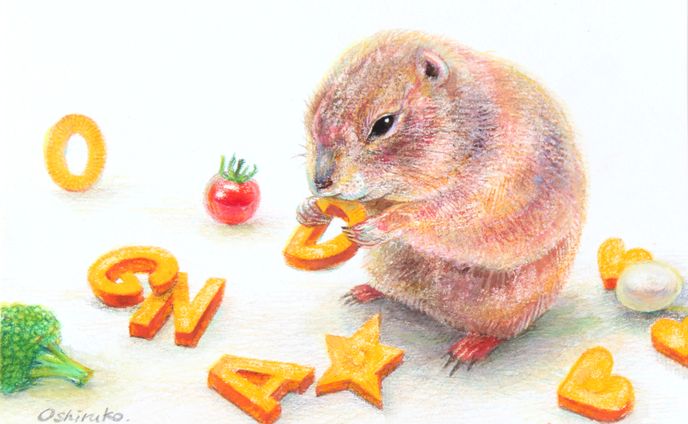 プレーリードッグのだんごくん｜色鉛筆イラスト