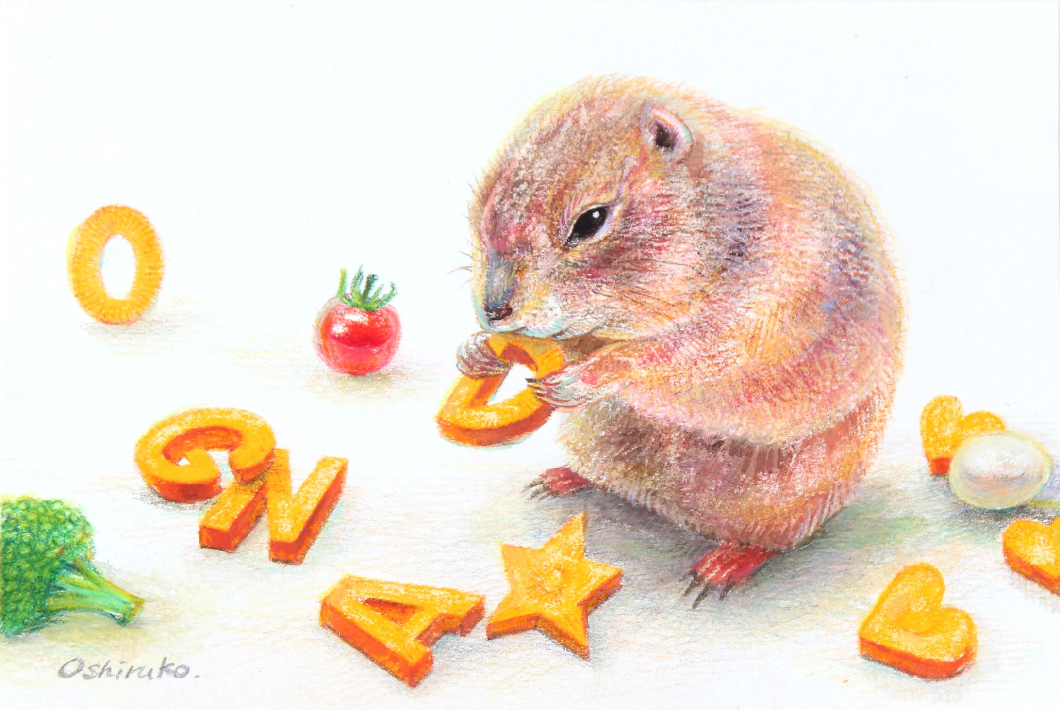 プレーリードッグのだんごくん｜色鉛筆イラスト-1