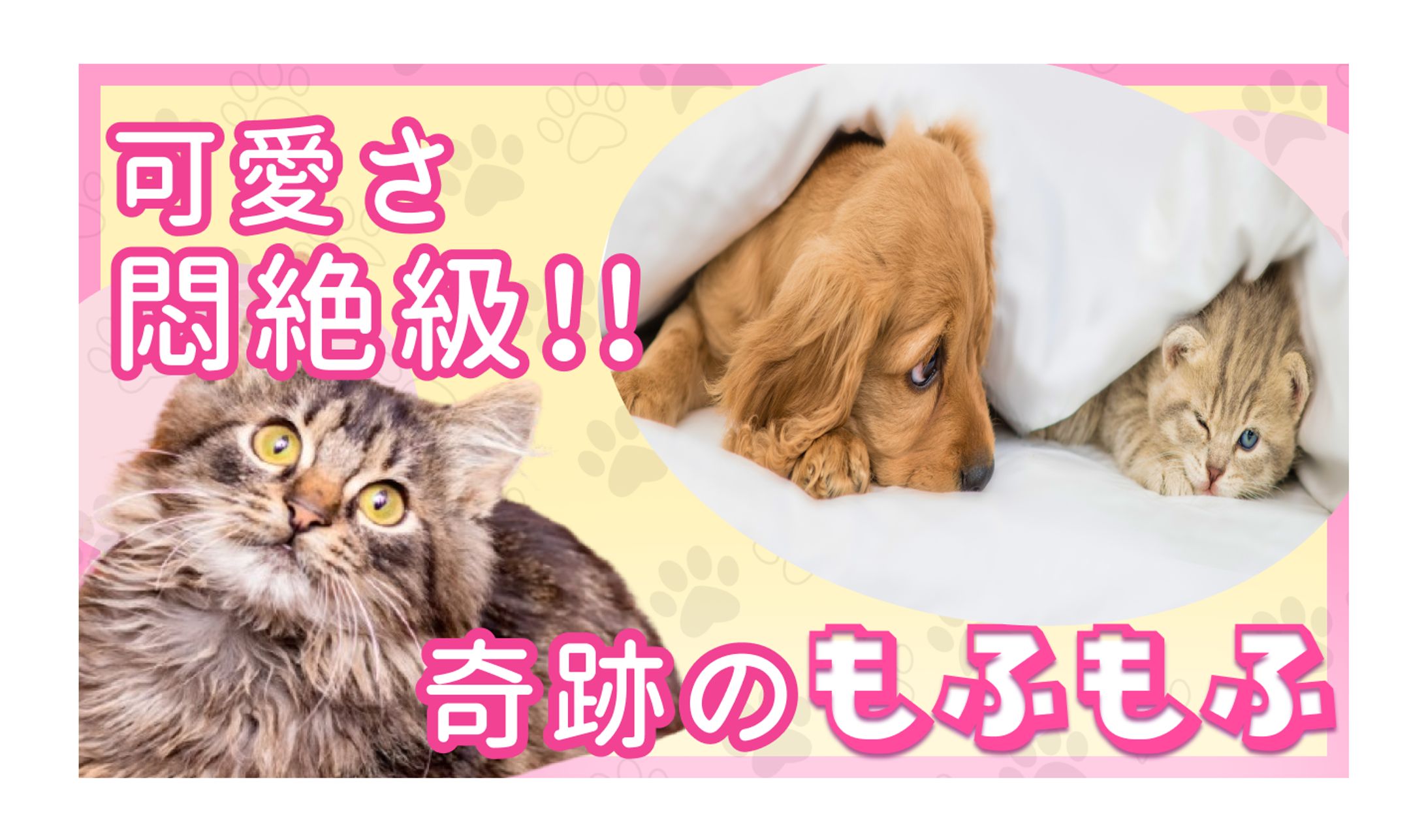 【サムネイル】癒しをお届け！YouTubeチャンネル-1