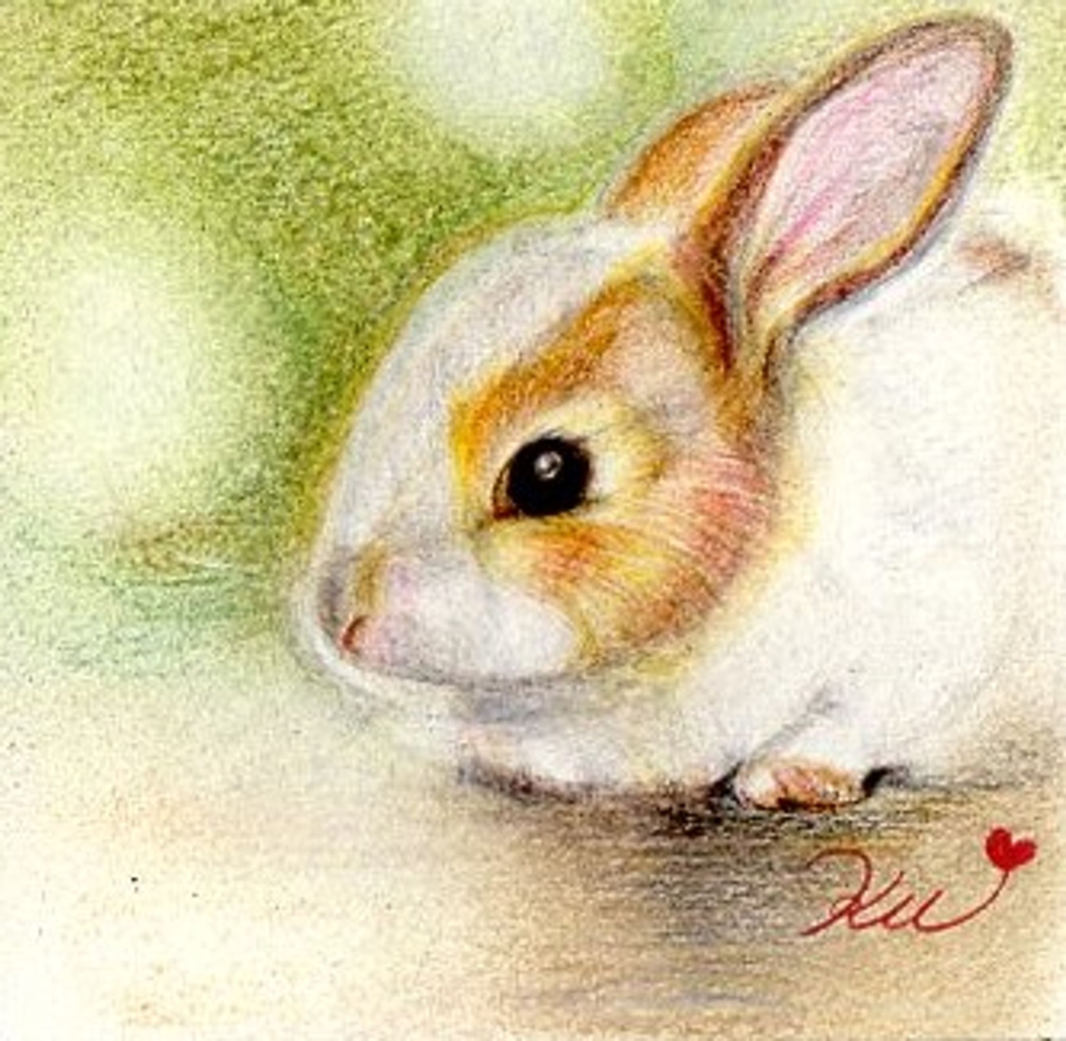 うさぎ-1