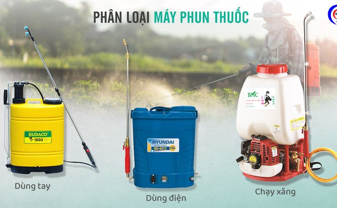 cho thuê bàn ghế、dtm