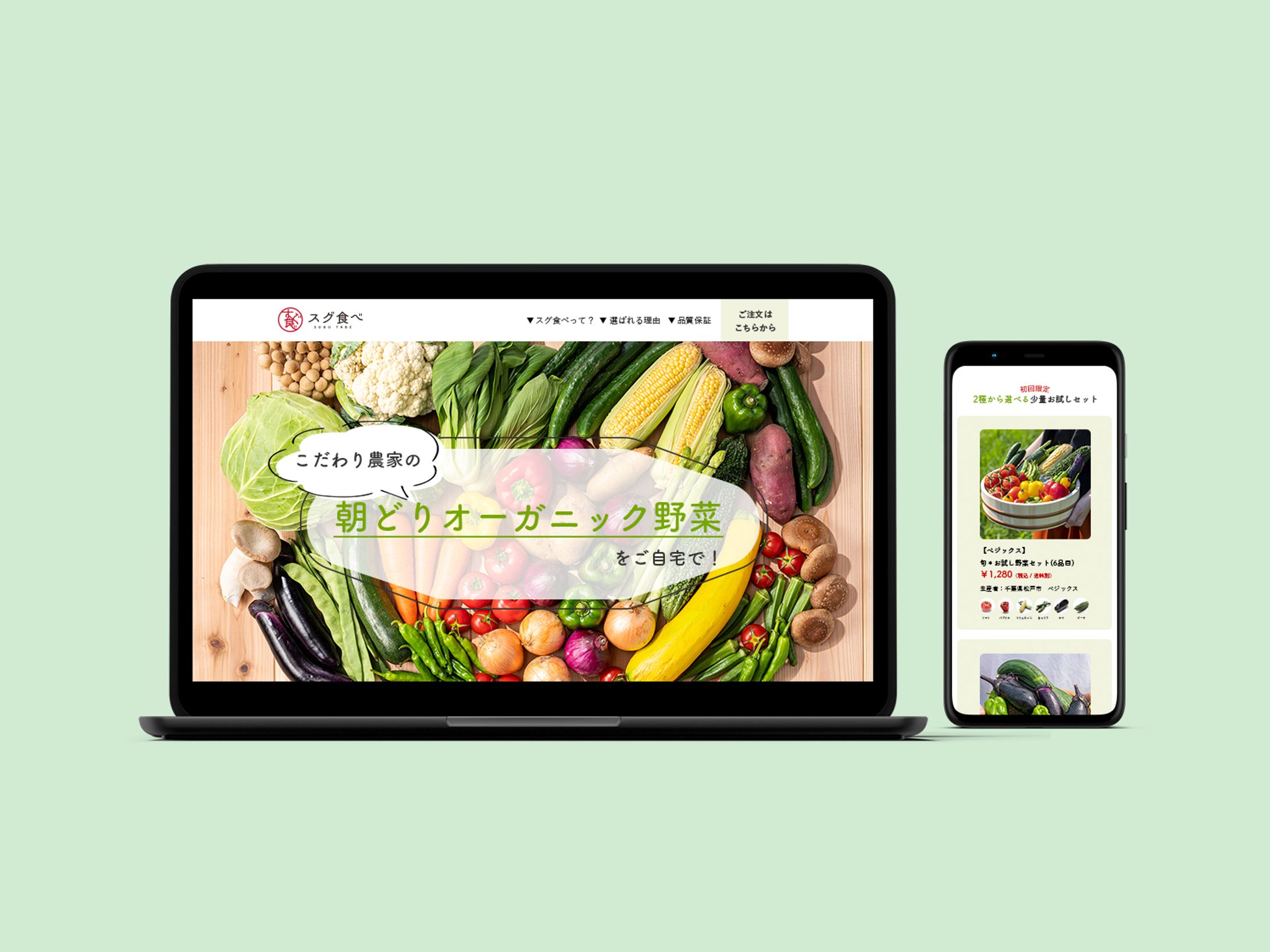 デジタルハリウッドSTUDIO課題：LP（野菜販売サイト「スグ食べ」-1