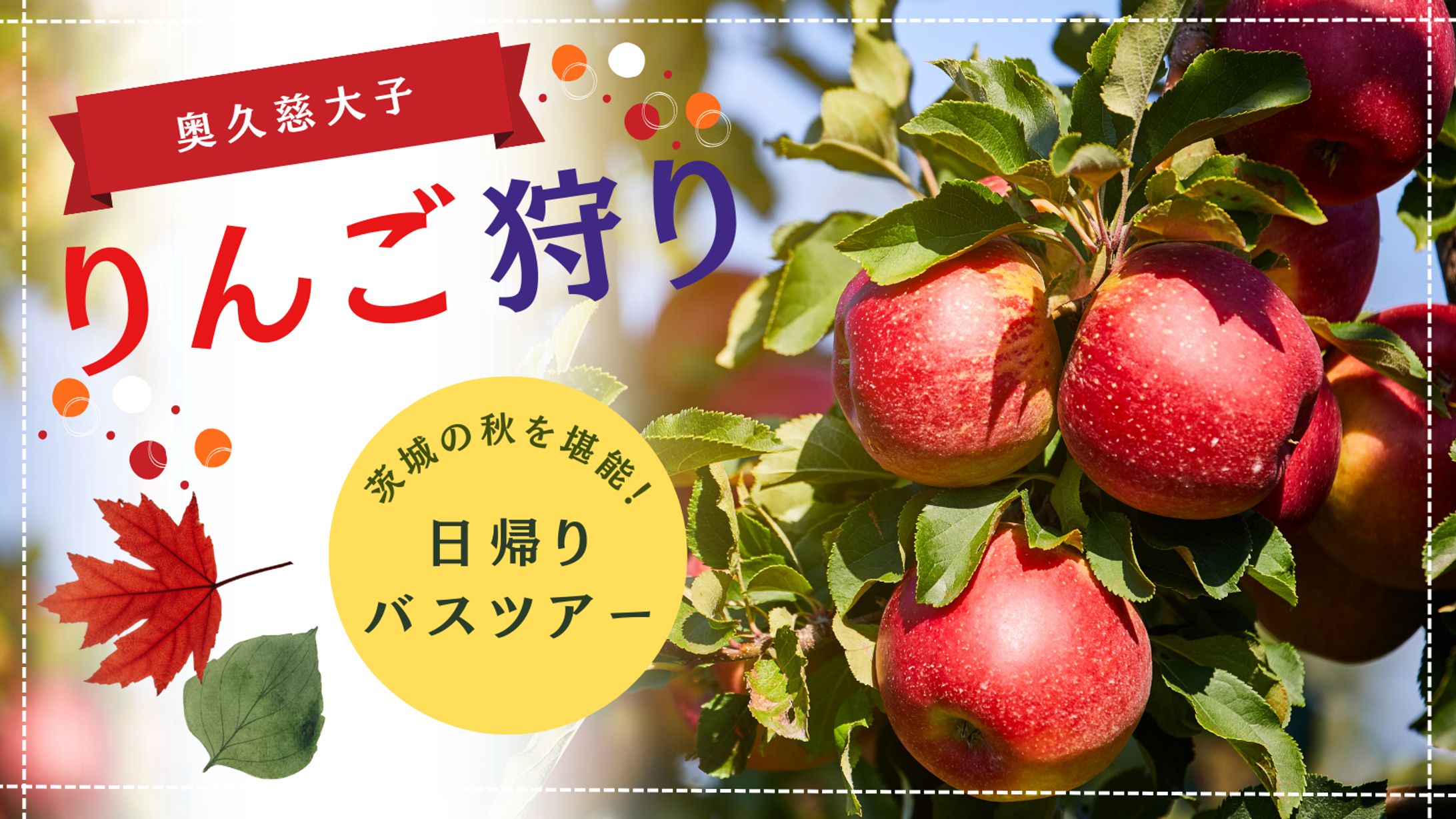 りんご狩り　バナー-1