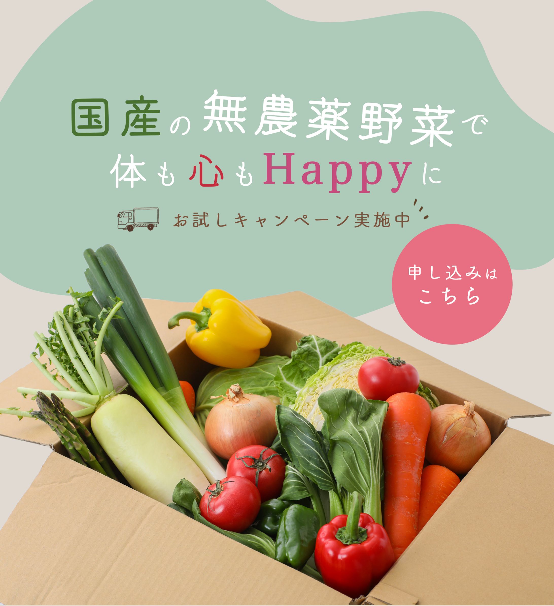 <自主制作>通販バナー-1