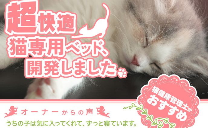 アイテム、一枚絵実績