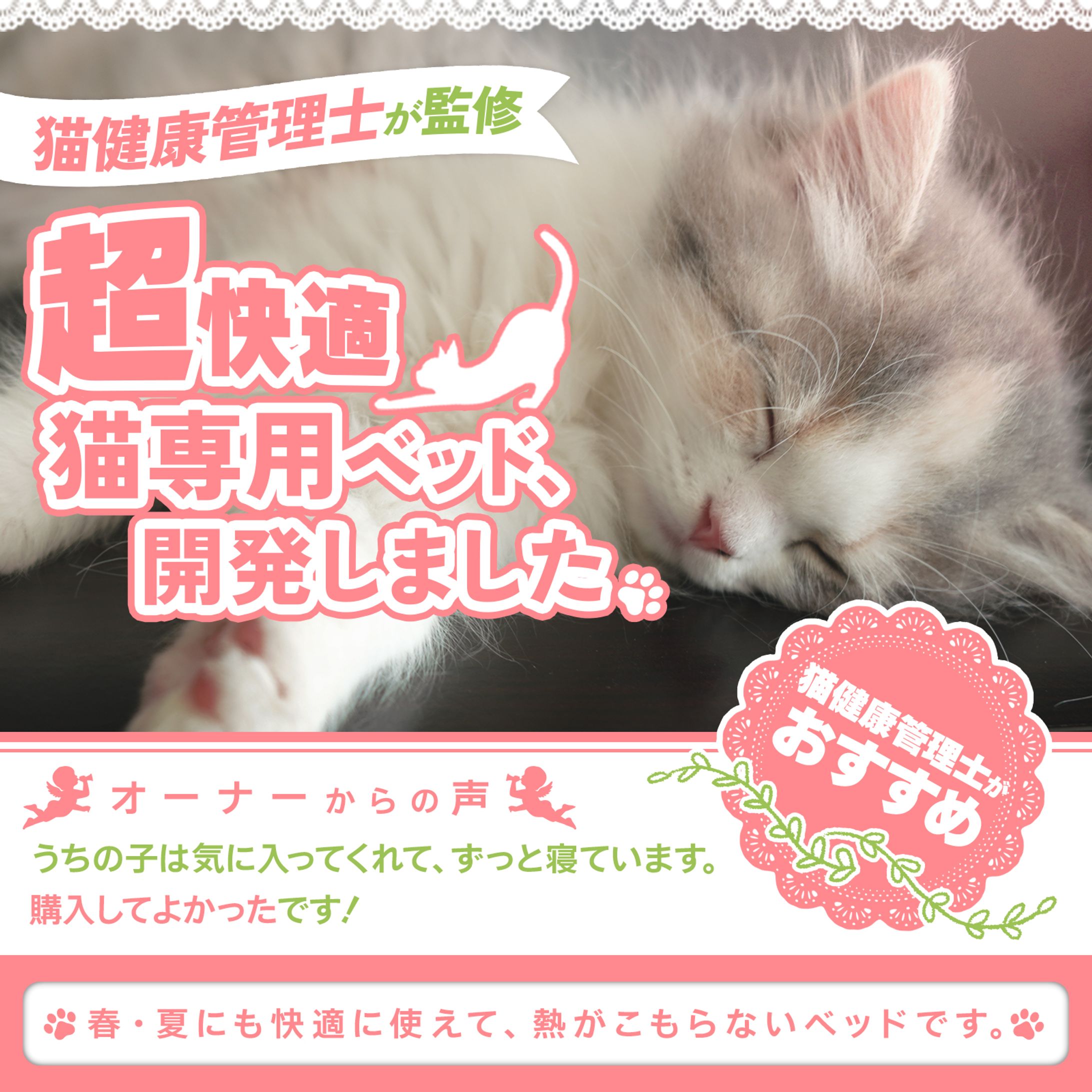 【制作実績】Amazonカタログ画像-猫用アイテム--1