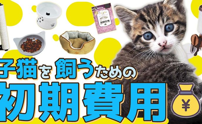 テスト制作です