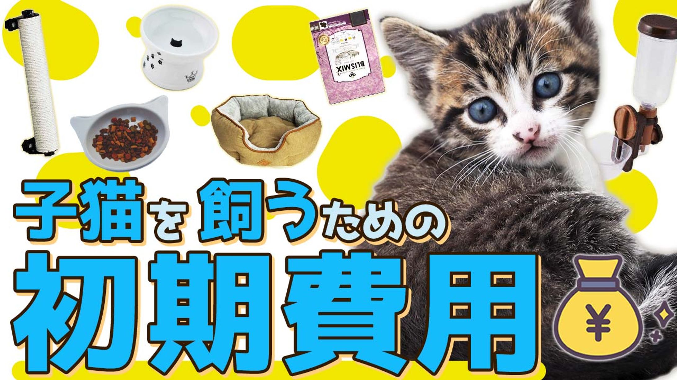 テスト制作です-1