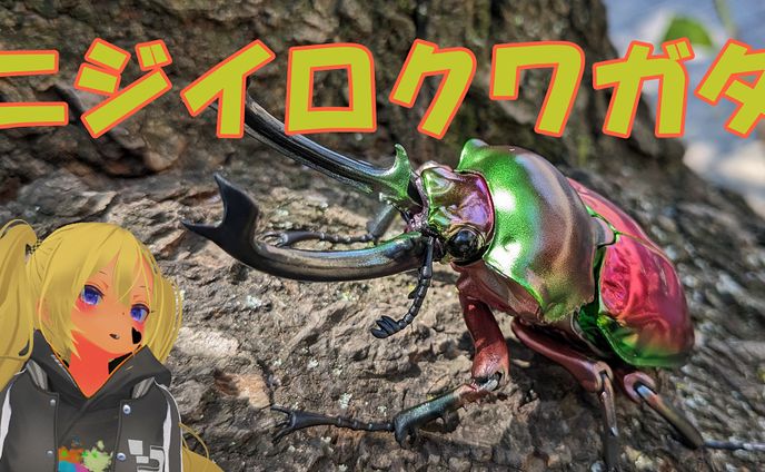 いきもの大図鑑アドバンスニジイロクワガタを紹介してみた件