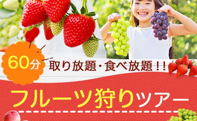 バナー：フルーツ狩り